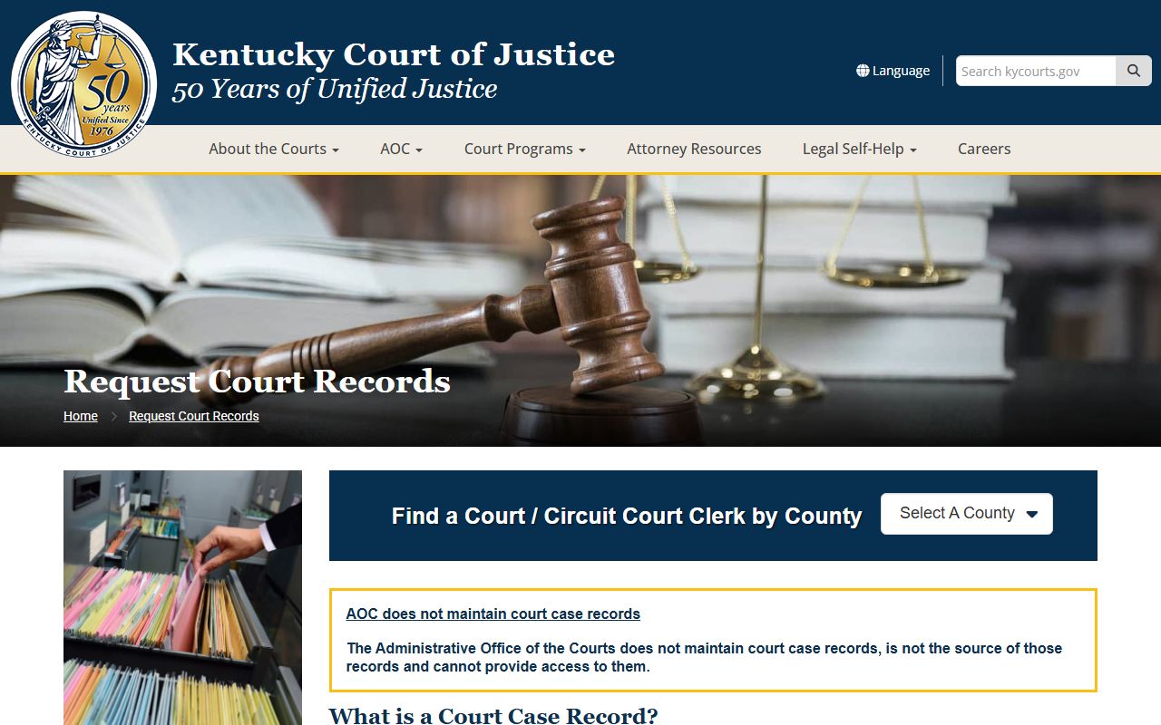 McLean County court records request access